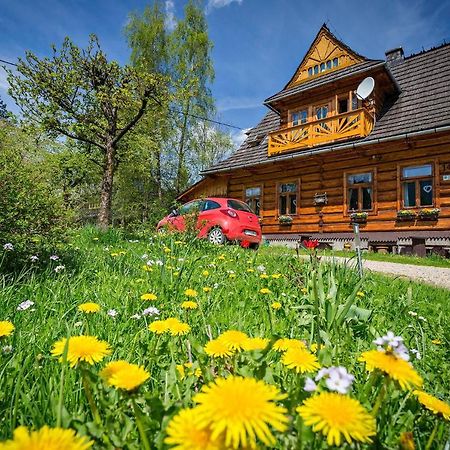 Kwatery Prywatne-Romanowka Zakopane Kültér fotó