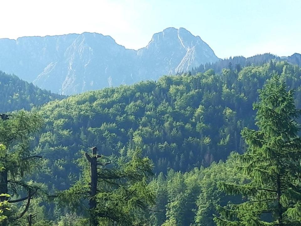 Kwatery Prywatne-Romanowka Zakopane Kültér fotó