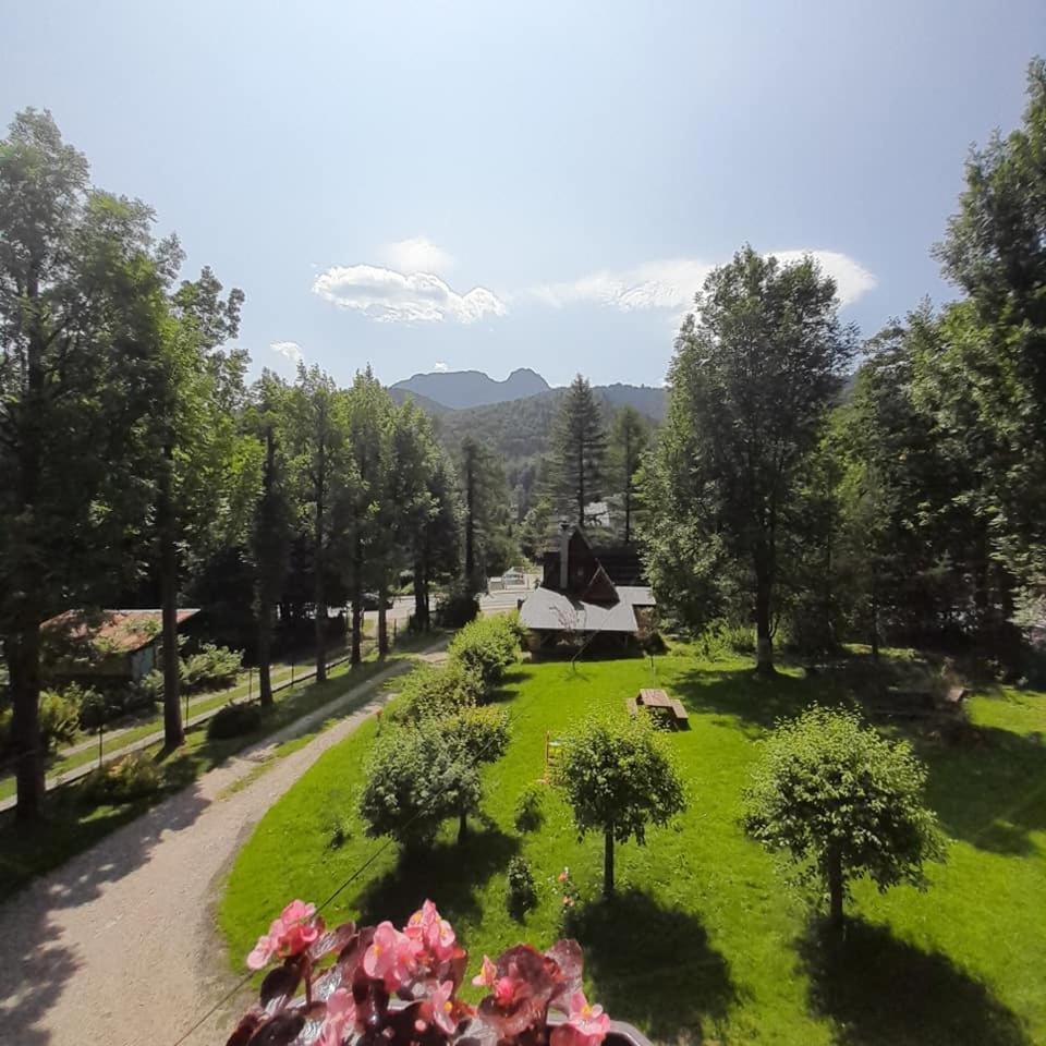 Kwatery Prywatne-Romanowka Zakopane Kültér fotó