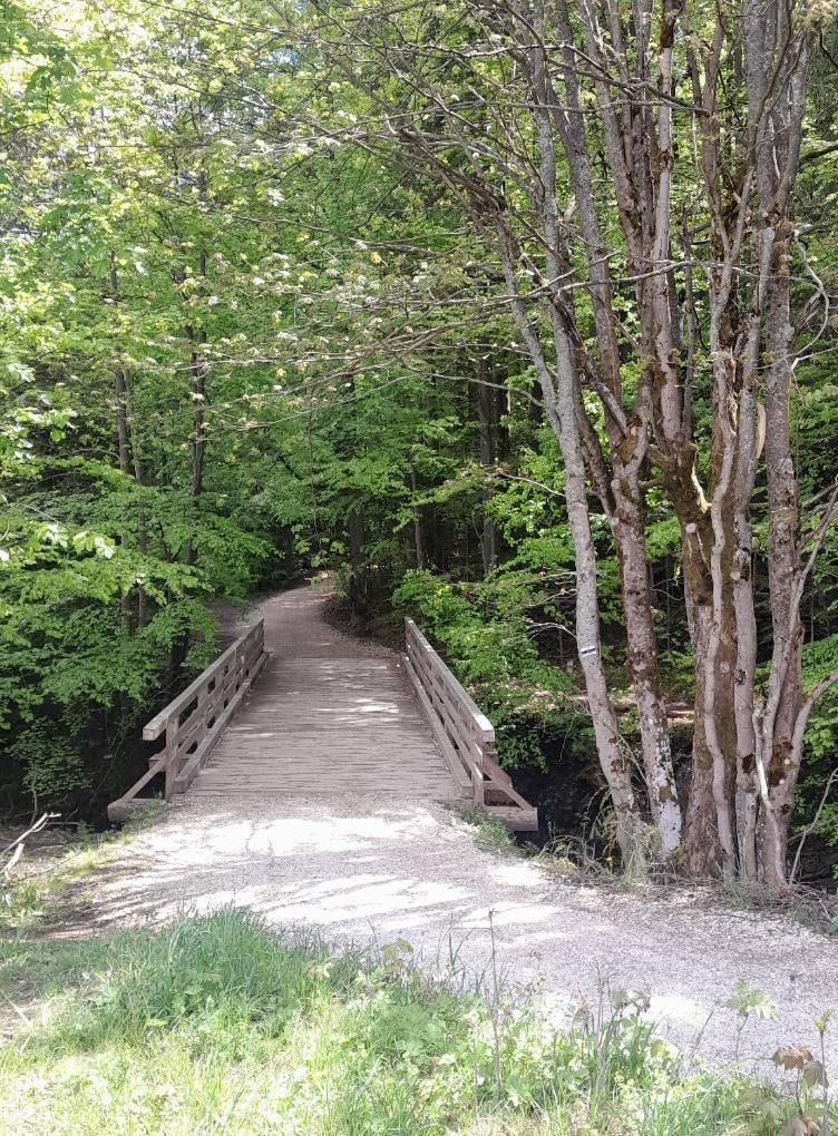 Kwatery Prywatne-Romanowka Zakopane Kültér fotó