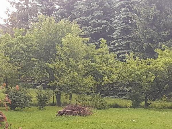 Kwatery Prywatne-Romanowka Zakopane Kültér fotó