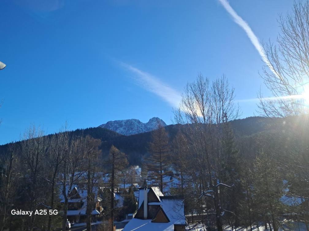 Kwatery Prywatne-Romanowka Zakopane Kültér fotó