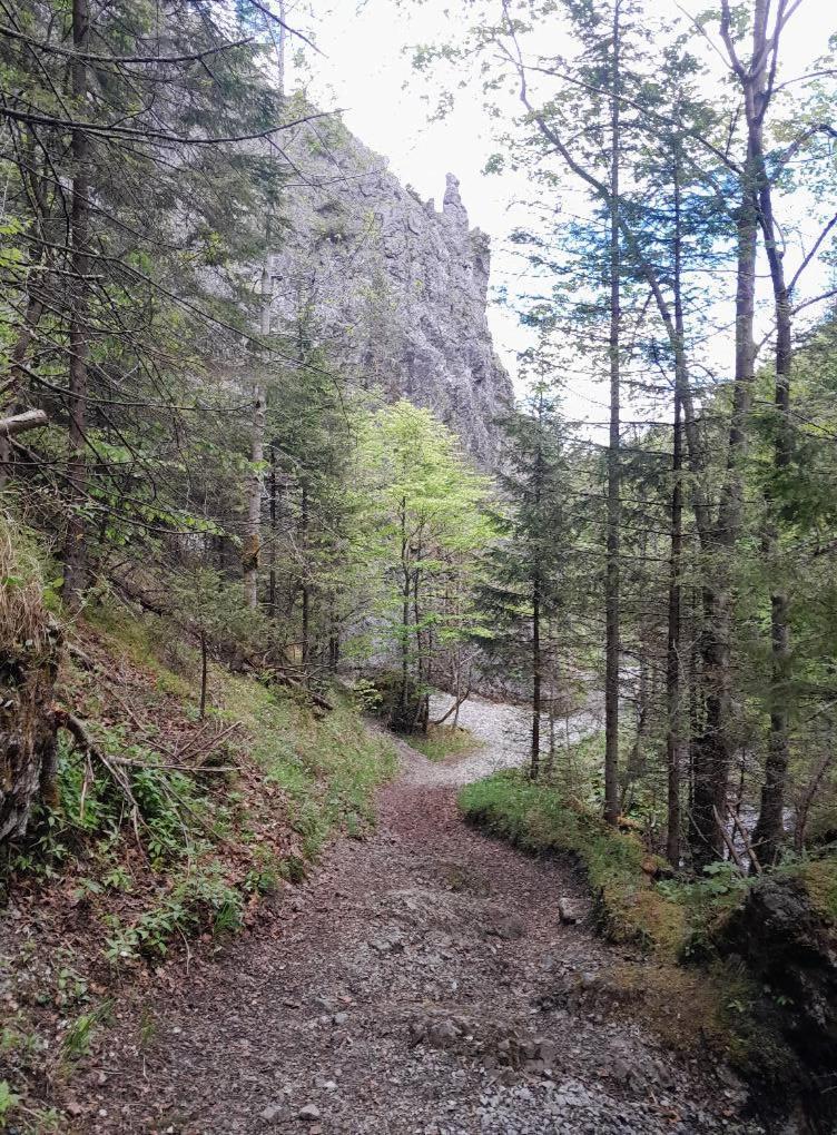 Kwatery Prywatne-Romanowka Zakopane Kültér fotó