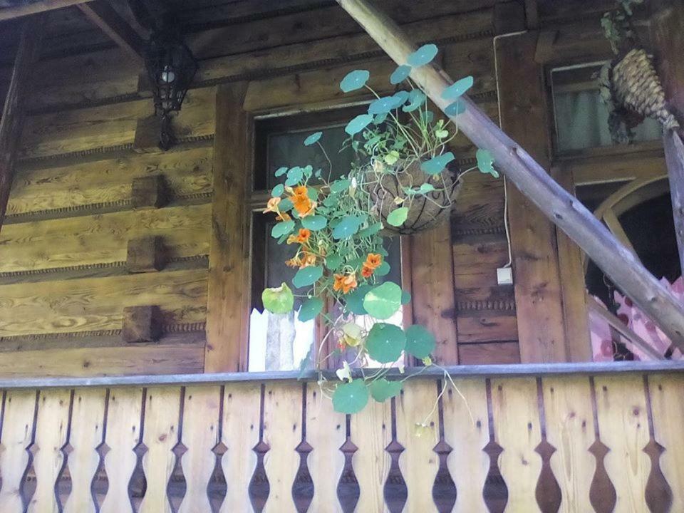 Kwatery Prywatne-Romanowka Zakopane Kültér fotó