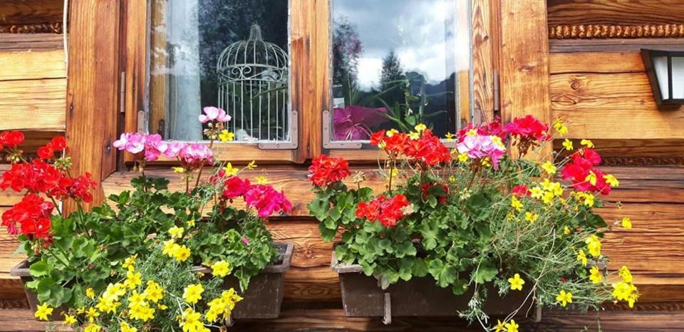 Kwatery Prywatne-Romanowka Zakopane Kültér fotó